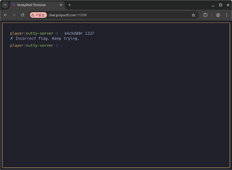 The fake terminal, displaying the output of the b4ckd00r command (executed with arguments)