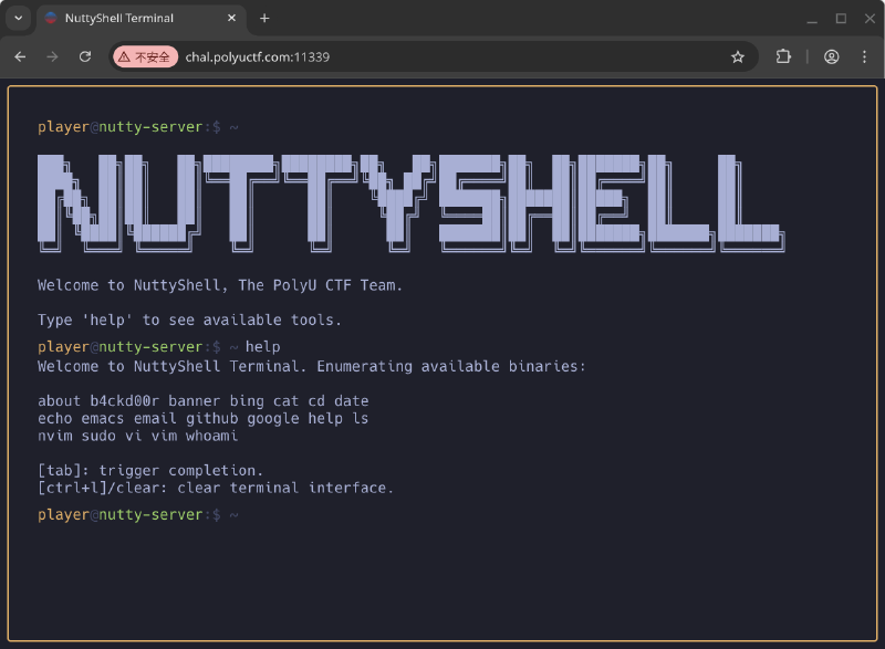 The website with the fake terminal, displaying a MOTD and the output of the help command